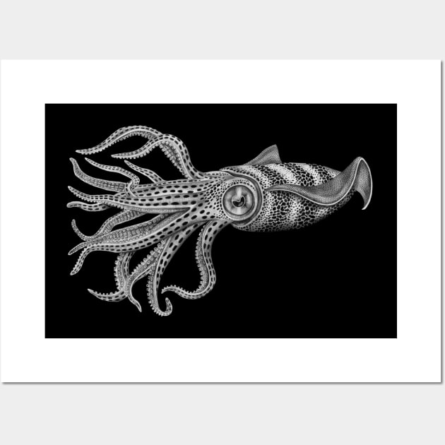 Squid Wall Art by Tim Jeffs Art